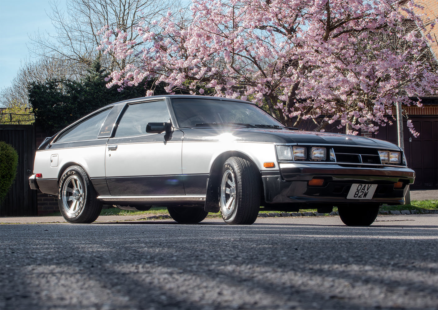 A2 LANDSCAPE POSTER - 1981 TOYOTA CELICA SUPRA SPP MK.1 CHERRY BLOSSOMS