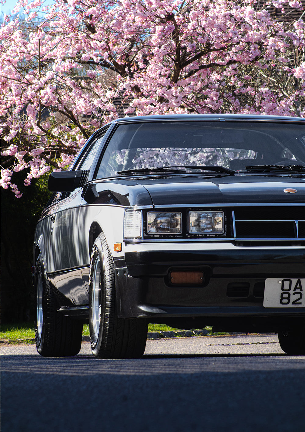 A2 PORTRAIT POSTER - 1981 TOYOTA CELICA SUPRA SPP MK.1